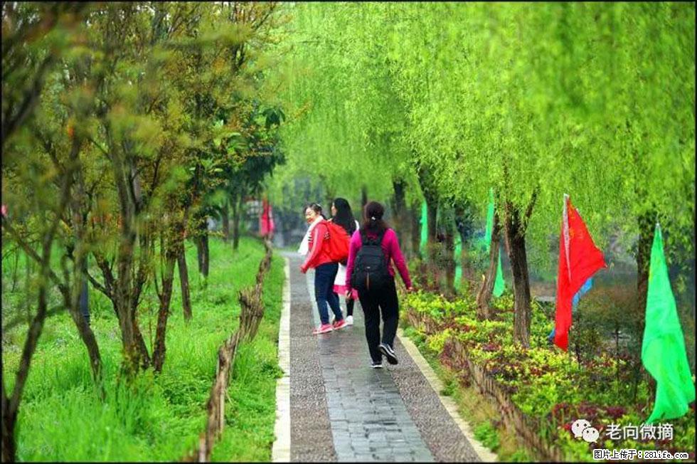 【春天,广西桂林灌阳县向您发出邀请!】江口老街又逢春 - 游山玩水 - 昆明生活社区 - 昆明28生活网 km.28life.com