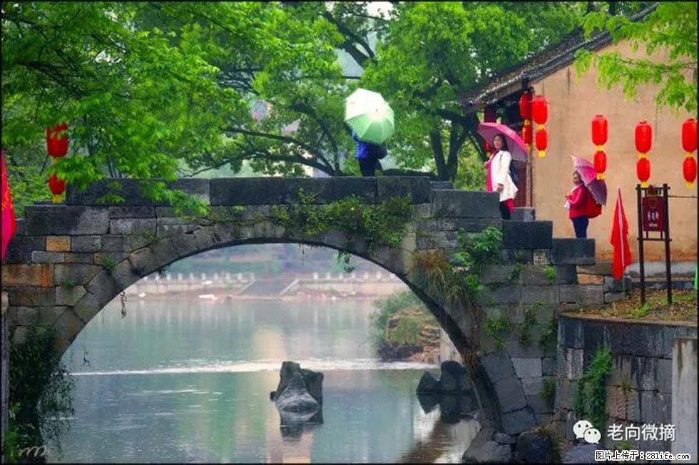 【春天,广西桂林灌阳县向您发出邀请!】江口老街又逢春 - 游山玩水 - 昆明生活社区 - 昆明28生活网 km.28life.com