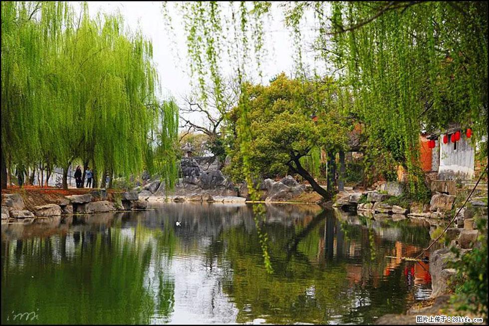 【春天,广西桂林灌阳县向您发出邀请!】江口老街又逢春 - 游山玩水 - 昆明生活社区 - 昆明28生活网 km.28life.com