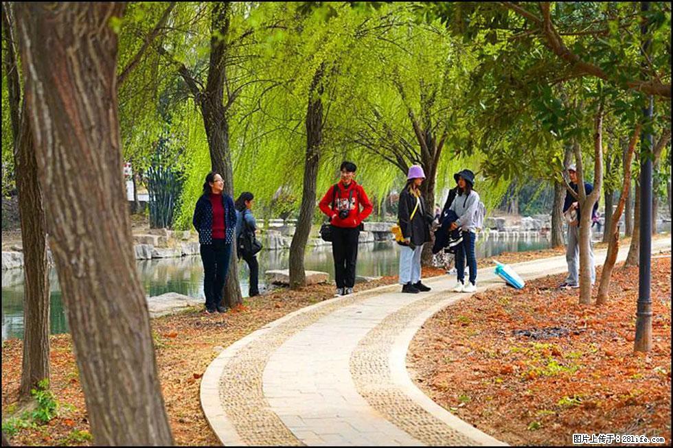 【春天,广西桂林灌阳县向您发出邀请!】江口老街又逢春 - 游山玩水 - 昆明生活社区 - 昆明28生活网 km.28life.com