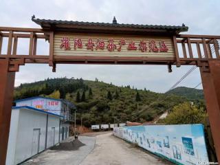 【灌阳县油茶产业示范区】一个有着充实的精神生活的人,对待身外之物自会有一种淡泊的态度 - 昆明28生活网 km.28life.com