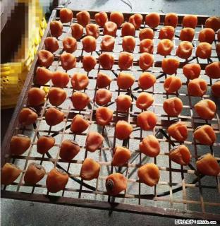 广西桂林平乐桥亭【柿饼之乡】2025年纯手工制作、无任何添加剂的第一批柿饼准备上市了，欢迎联系订购！ - 昆明28生活网 km.28life.com