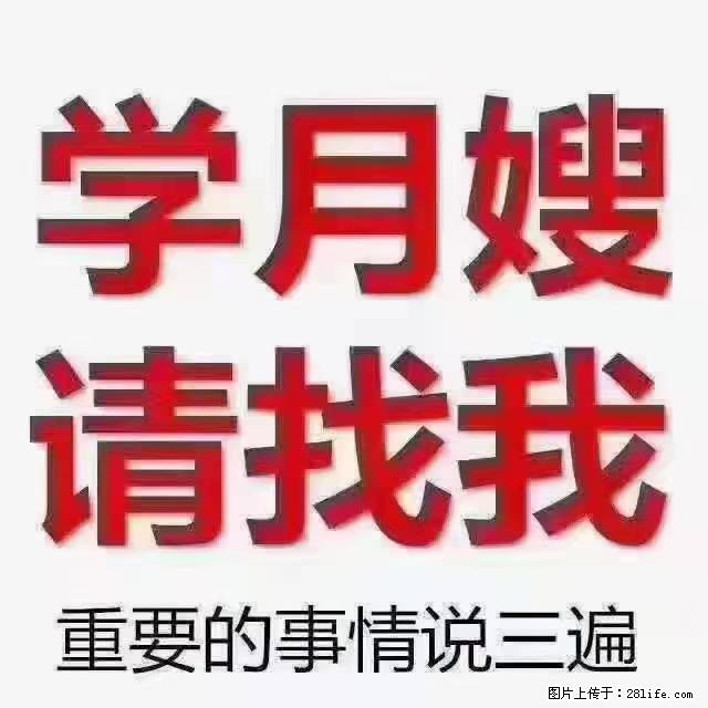 【招聘】月嫂，上海徐汇区 - 职场交流 - 昆明生活社区 - 昆明28生活网 km.28life.com