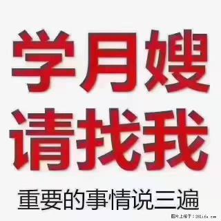 【招聘】月嫂，上海徐汇区 - 昆明28生活网 km.28life.com