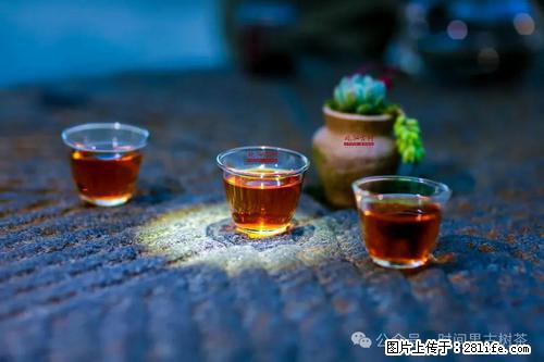 时间果百年古树2025年春红茶 - 购物交流 - 昆明生活社区 - 昆明28生活网 km.28life.com