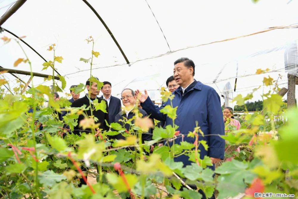 习近平赴广西考察调研 - 昆明生活资讯 - 昆明28生活网 km.28life.com