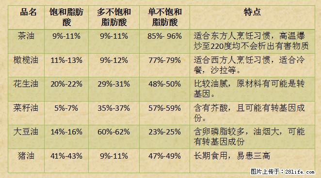 揭秘茶油的5大核心营养成分!被称为人体健康的“守护盾”! - 昆明生活资讯 - 昆明28生活网 km.28life.com