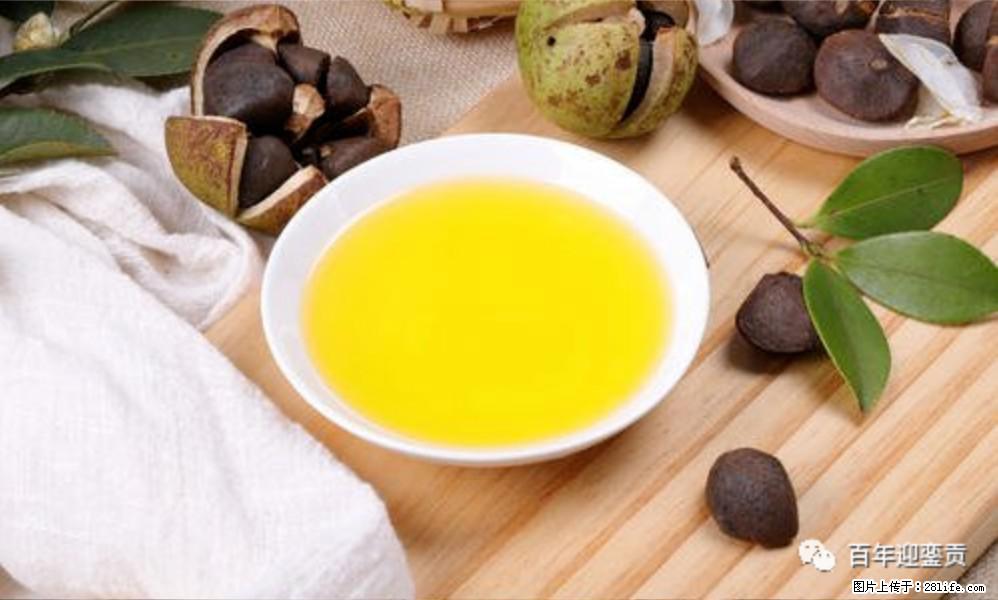 揭秘茶油的5大核心营养成分!被称为人体健康的“守护盾”! - 昆明生活资讯 - 昆明28生活网 km.28life.com