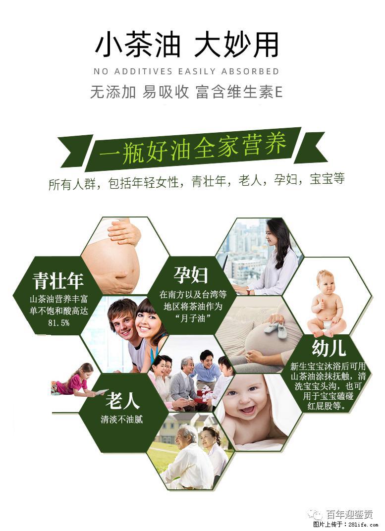 世界没有真相,只有认知,最好的食用油是中国的山茶油! - 昆明生活资讯 - 昆明28生活网 km.28life.com