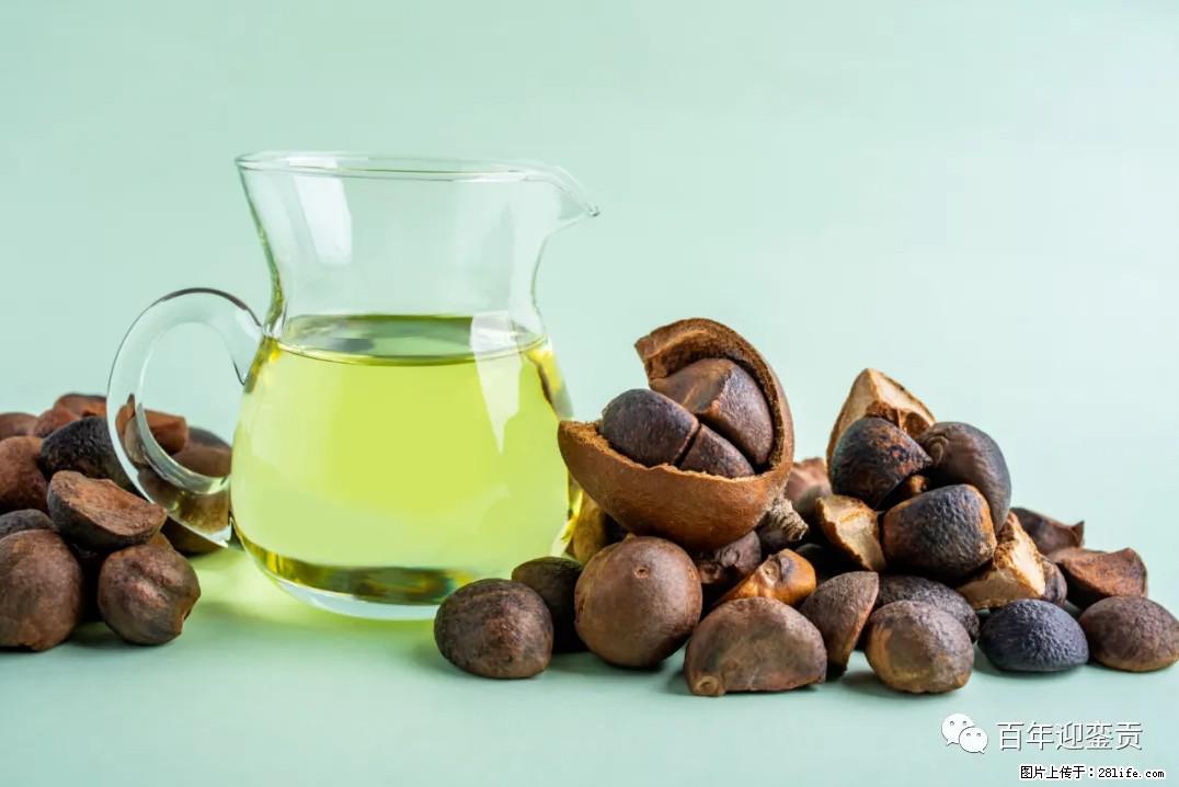 世界没有真相,只有认知,最好的食用油是中国的山茶油! - 昆明生活资讯 - 昆明28生活网 km.28life.com