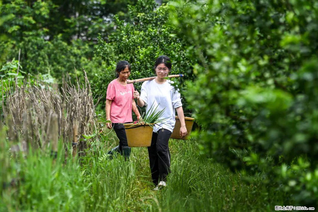 全网追的“扁担女孩”，找了一份暑假工，时薪12元 - 昆明生活资讯 - 昆明28生活网 km.28life.com