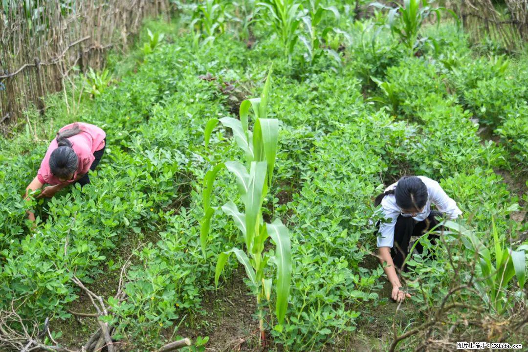 全网追的“扁担女孩”，找了一份暑假工，时薪12元 - 昆明生活资讯 - 昆明28生活网 km.28life.com