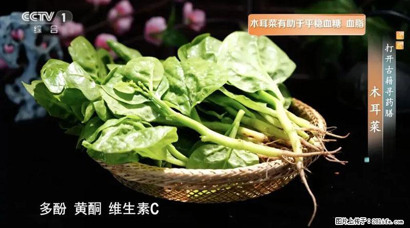 比牛奶补钙还厉害！凉血解毒、稳血糖...这菜冬天必吃，很多人却当草 - 昆明生活资讯 - 昆明28生活网 km.28life.com