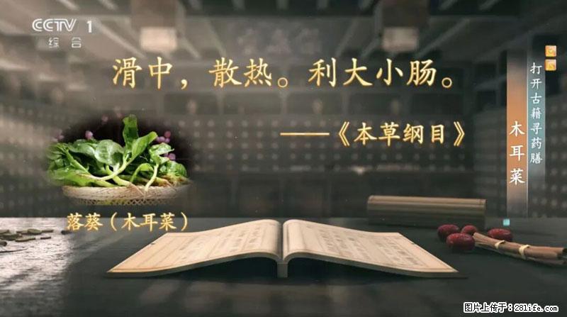 比牛奶补钙还厉害！凉血解毒、稳血糖...这菜冬天必吃，很多人却当草 - 昆明生活资讯 - 昆明28生活网 km.28life.com