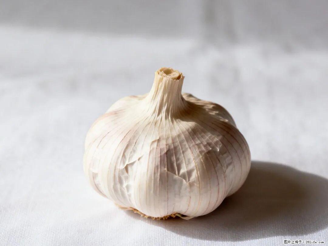 关于大蒜,除了“天然抗生素”,这4个谣言更该警惕! - 昆明生活资讯 - 昆明28生活网 km.28life.com