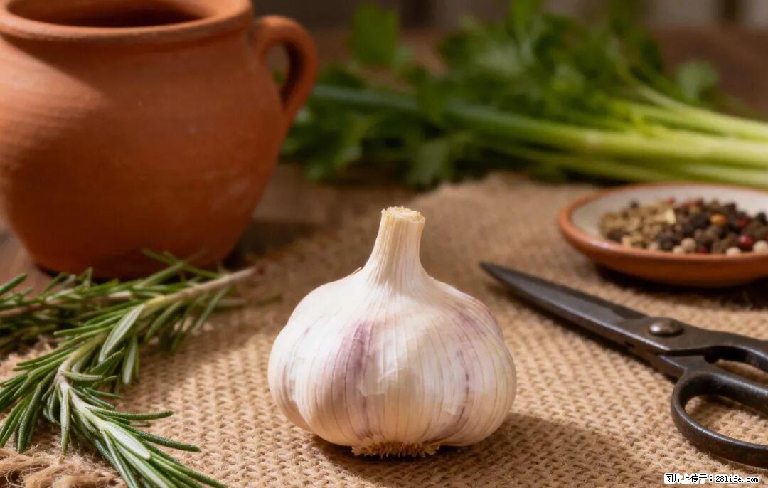 关于大蒜,除了“天然抗生素”,这4个谣言更该警惕! - 昆明生活资讯 - 昆明28生活网 km.28life.com