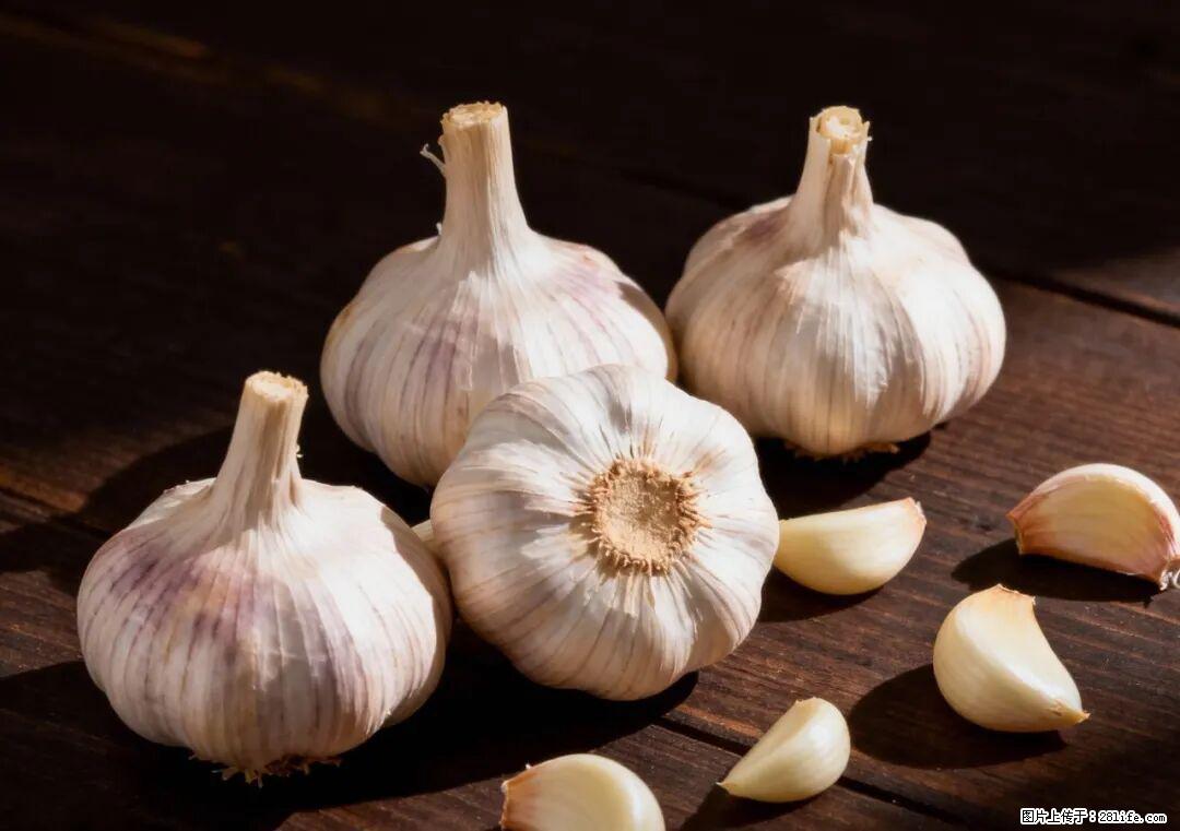 关于大蒜,除了“天然抗生素”,这4个谣言更该警惕! - 昆明生活资讯 - 昆明28生活网 km.28life.com