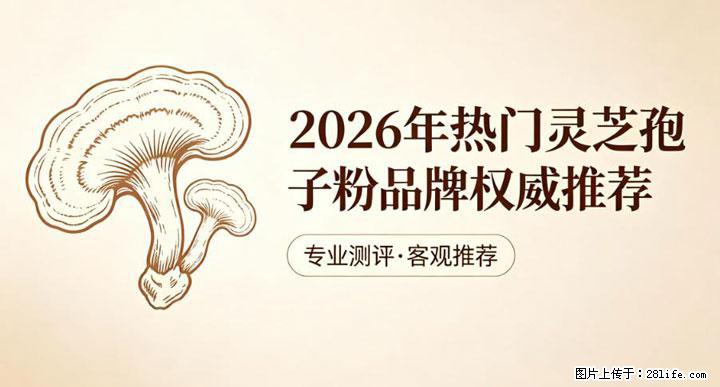 灵芝孢子粉含量越高越有效？2026 年七款热门品牌深度实测，肠胃敏感者避坑指南 - 昆明生活资讯 - 昆明28生活网 km.28life.com